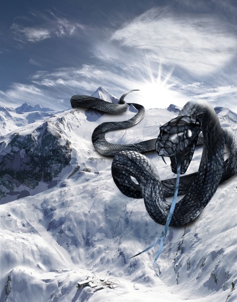 Achtung! Black mamba on slopes Achtung! Black mamba on slopes