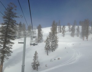 Fresh Tracks